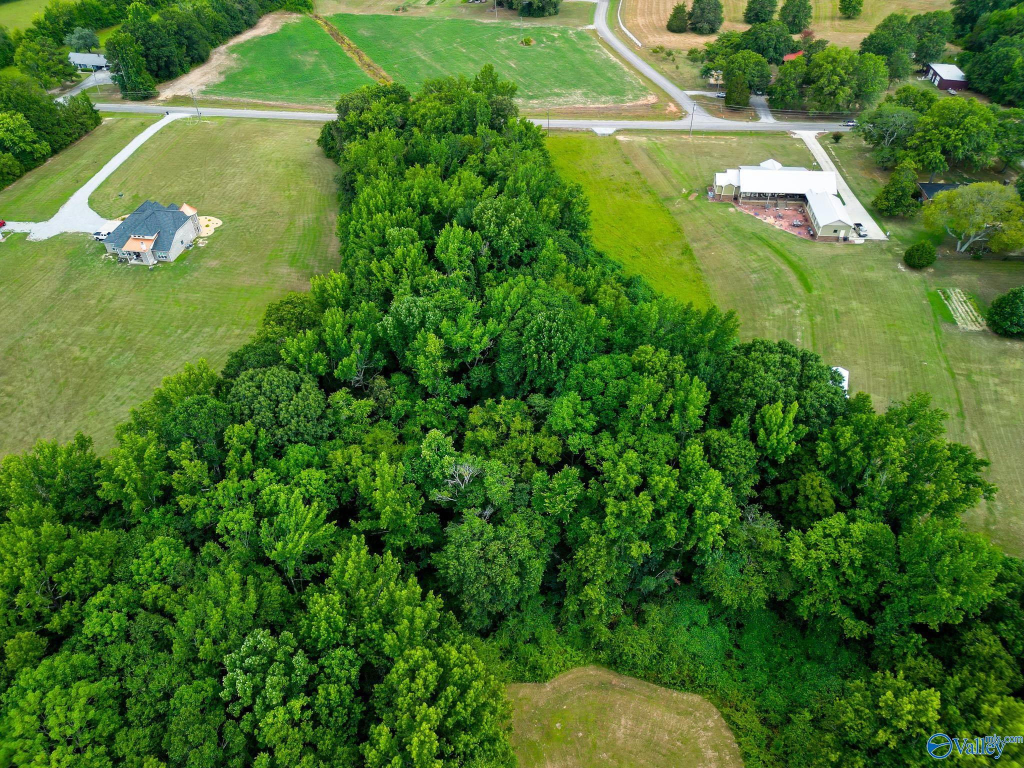 10 Acres Vaughn Bridge Road, Hartselle, Alabama image 7