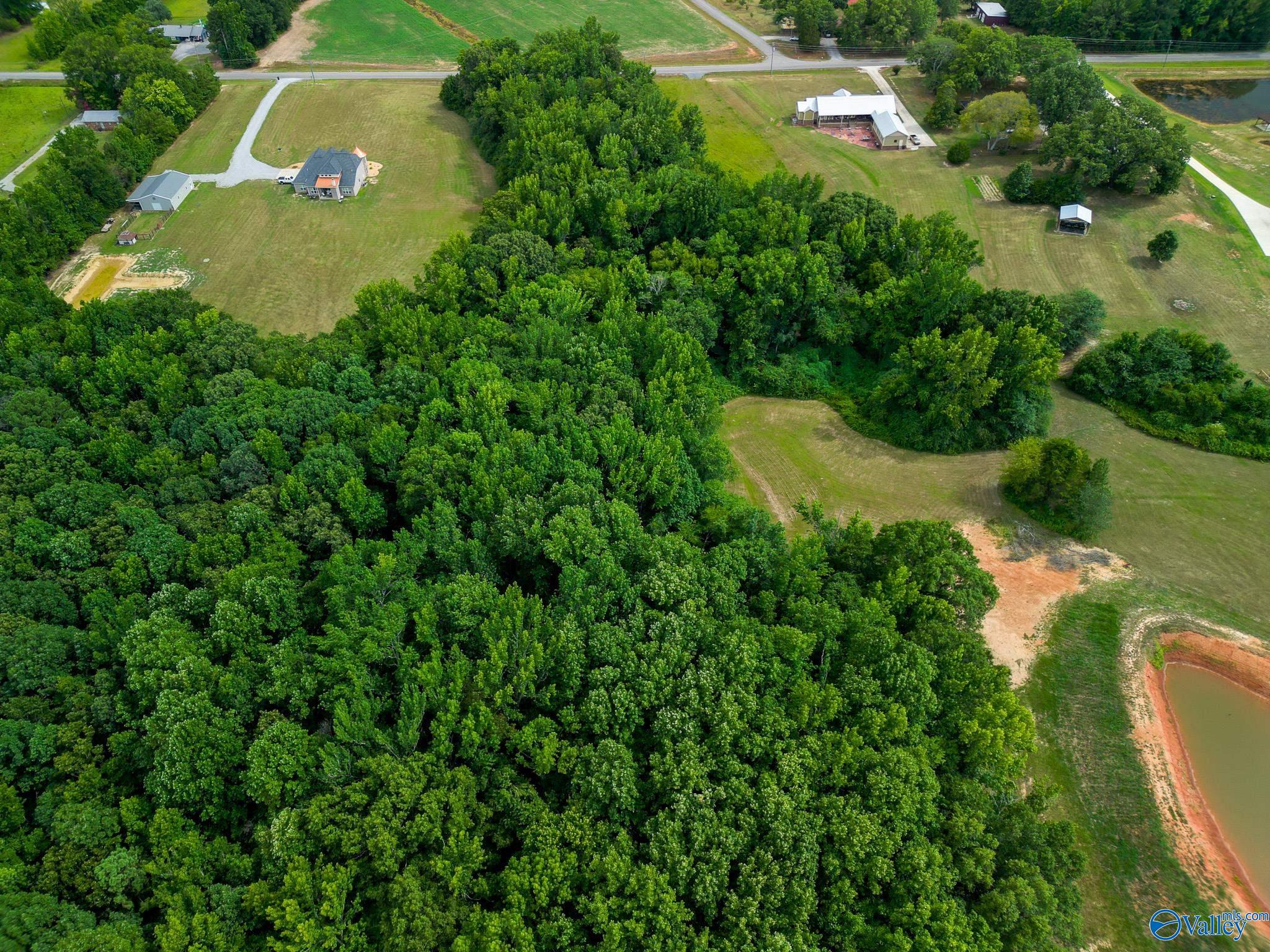 10 Acres Vaughn Bridge Road, Hartselle, Alabama image 15