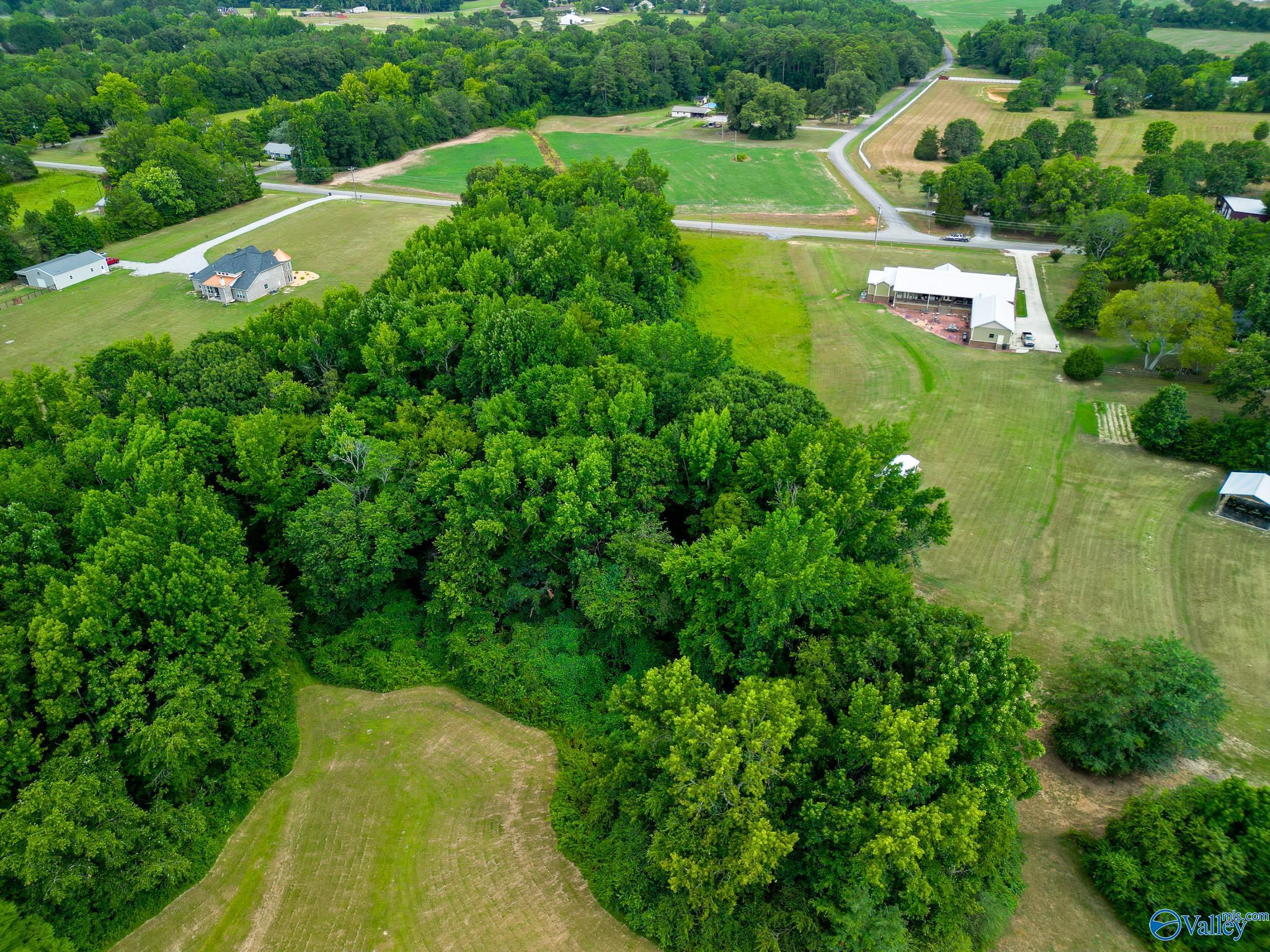 10 Acres Vaughn Bridge Road, Hartselle, Alabama image 8