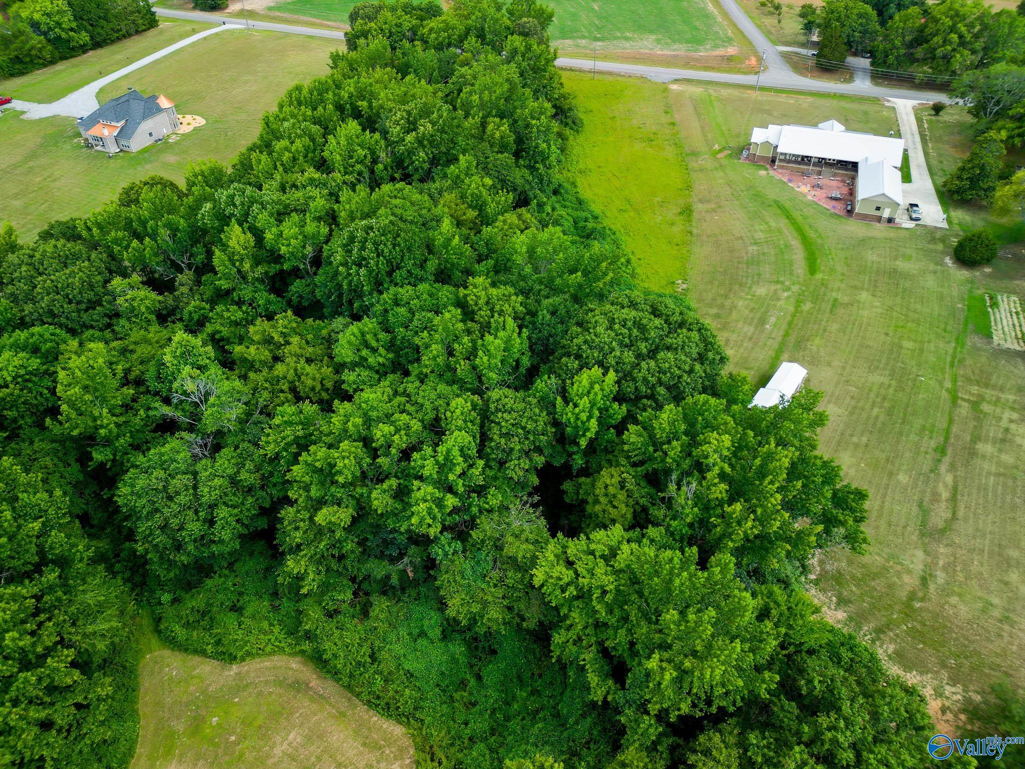 10 Acres Vaughn Bridge Road, Hartselle, Alabama image 9