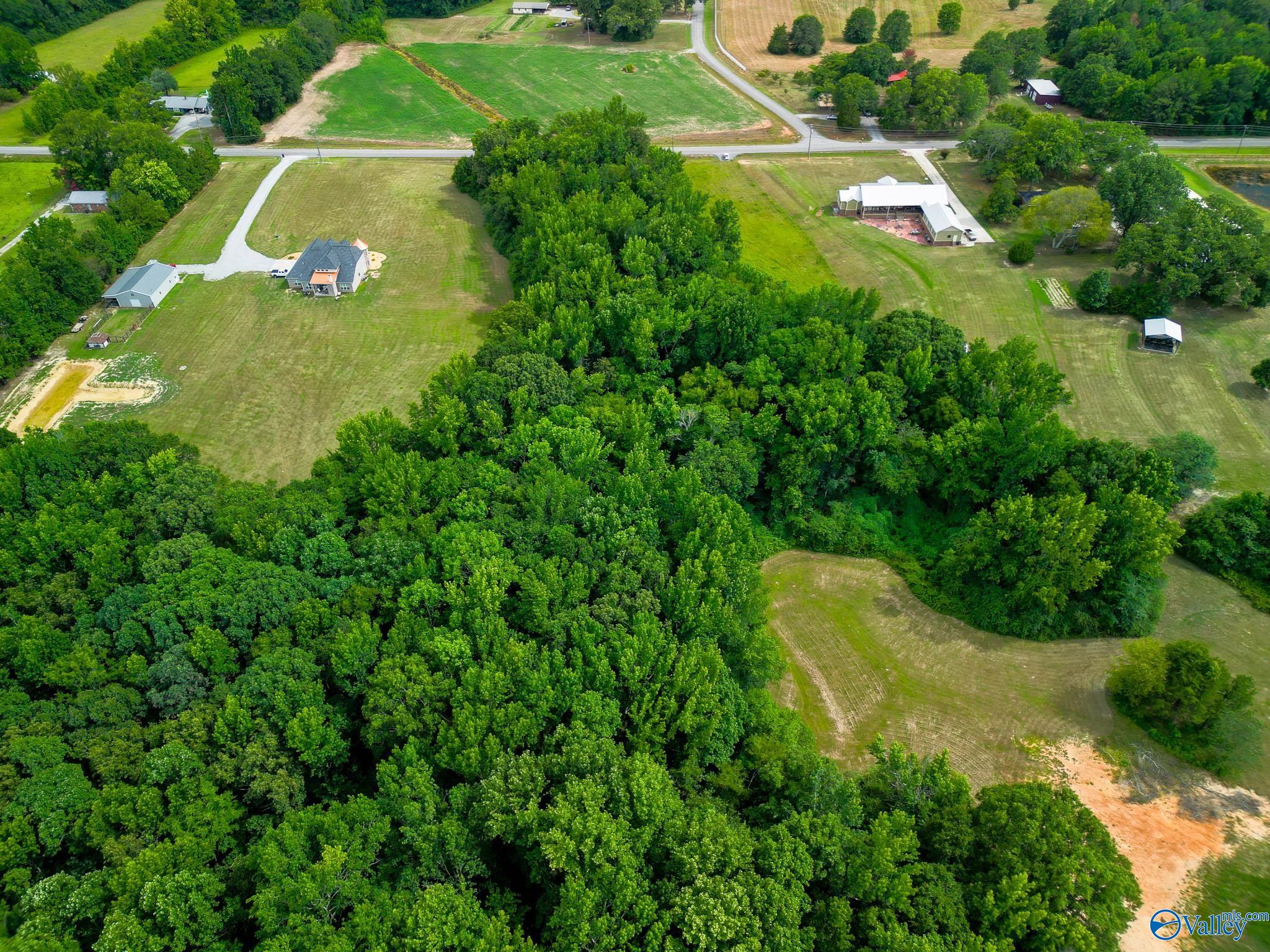 10 Acres Vaughn Bridge Road, Hartselle, Alabama image 18