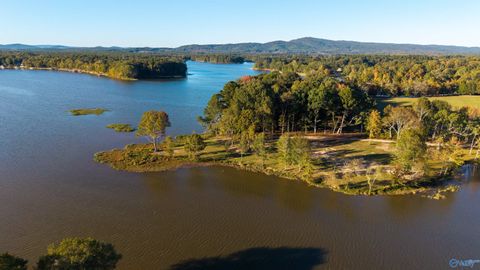 Vacant Land For Sale - LOT 31 County Road 115<br/> Cherokee County, Cedar Bluff, AL 35959