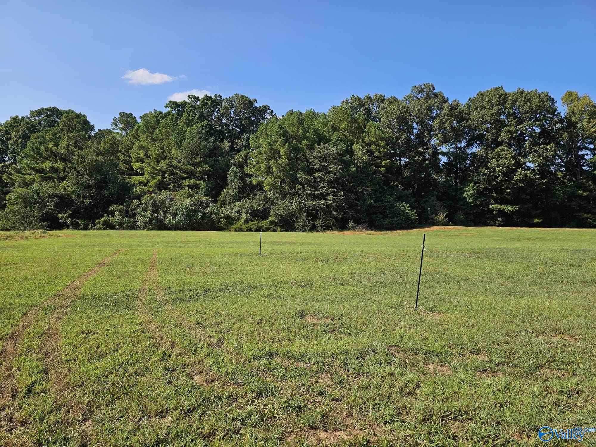 13891 Hatchie Lane, Athens, Alabama image 1