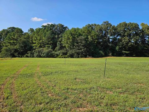 Vacant Land For Sale - 13891 Hatchie Lane<br/> Athens, AL 35611