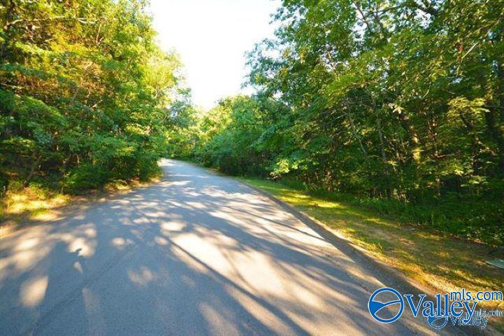1295 Becket Drive, Huntsville, Alabama image 8