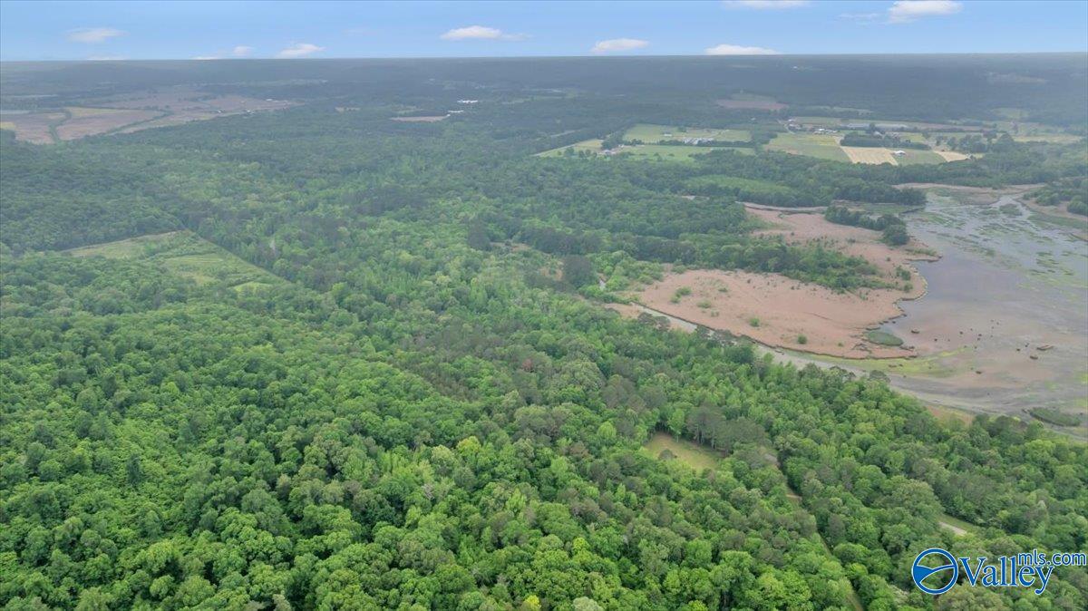 6153 Browns Valley Road, Guntersville, Alabama image 3