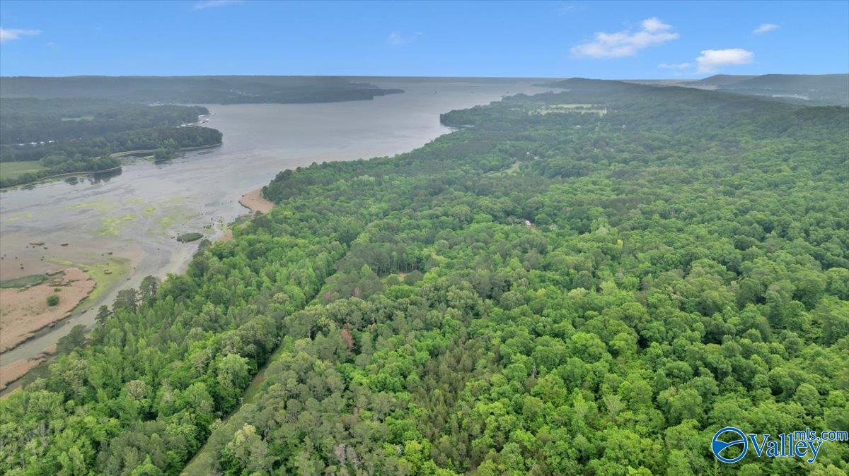 6153 Browns Valley Road, Guntersville, Alabama image 4
