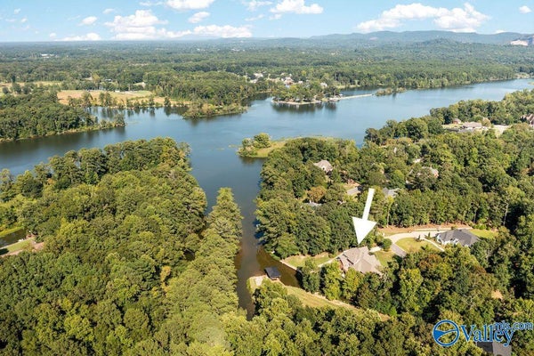233 RIVER RIDGE RD, GADSDEN, AL 35901 - Image 766f68bf5dcee6bea85531ff0dead039/2492192866