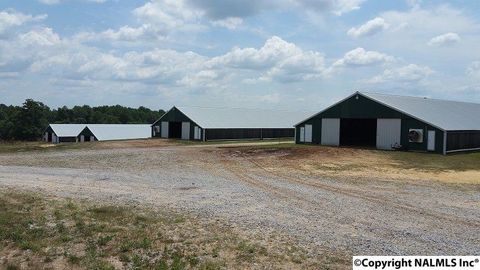 Vacant Land For Sale - W Blue Pond Blvd<br/> Sylvania, AL 35988