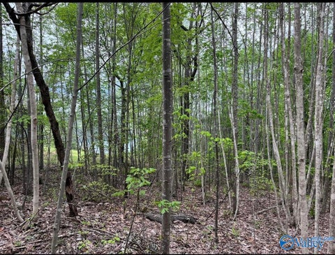 Vacant Land For Sale - 3.1+/- Brushy Creek Pointe<br/> Arley, AL 35541