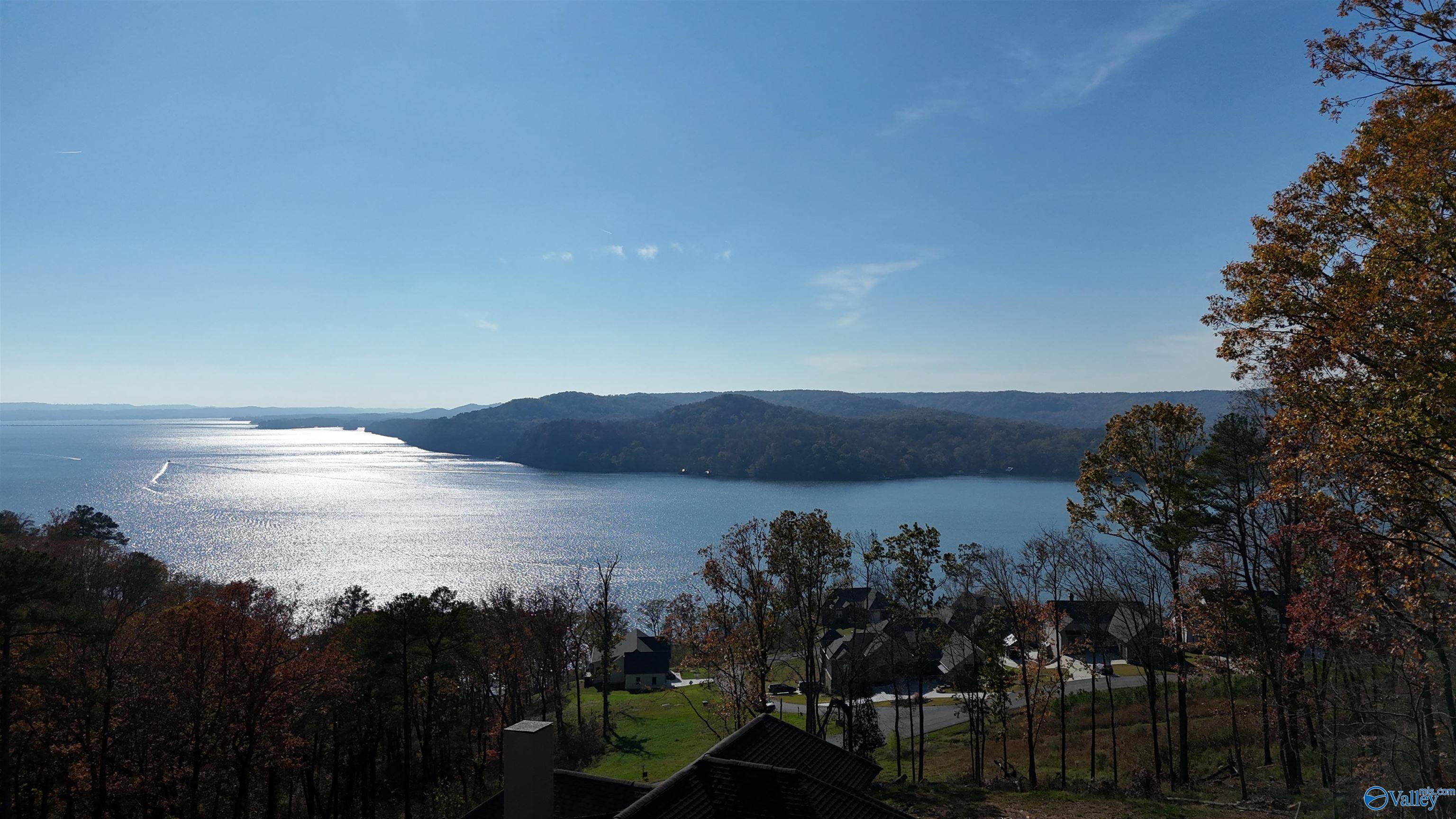 195 Waterfowl Way, Guntersville, Alabama image 18