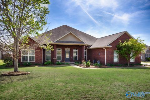 Homes For Sale - 144 Inspirational Drive<br/> Meridianville, AL 35759