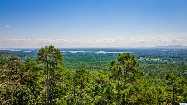 ADDRESS PRIVATE, SAND ROCK, AL 35983 - Image 76c2d8cbb77462fc08116ee592b438ae/3868158518