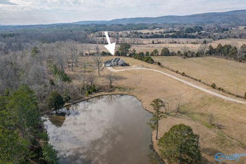 Photo of 2810 Coates Bend Road, Gadsden, AL 35901 (MLS # 21908376)