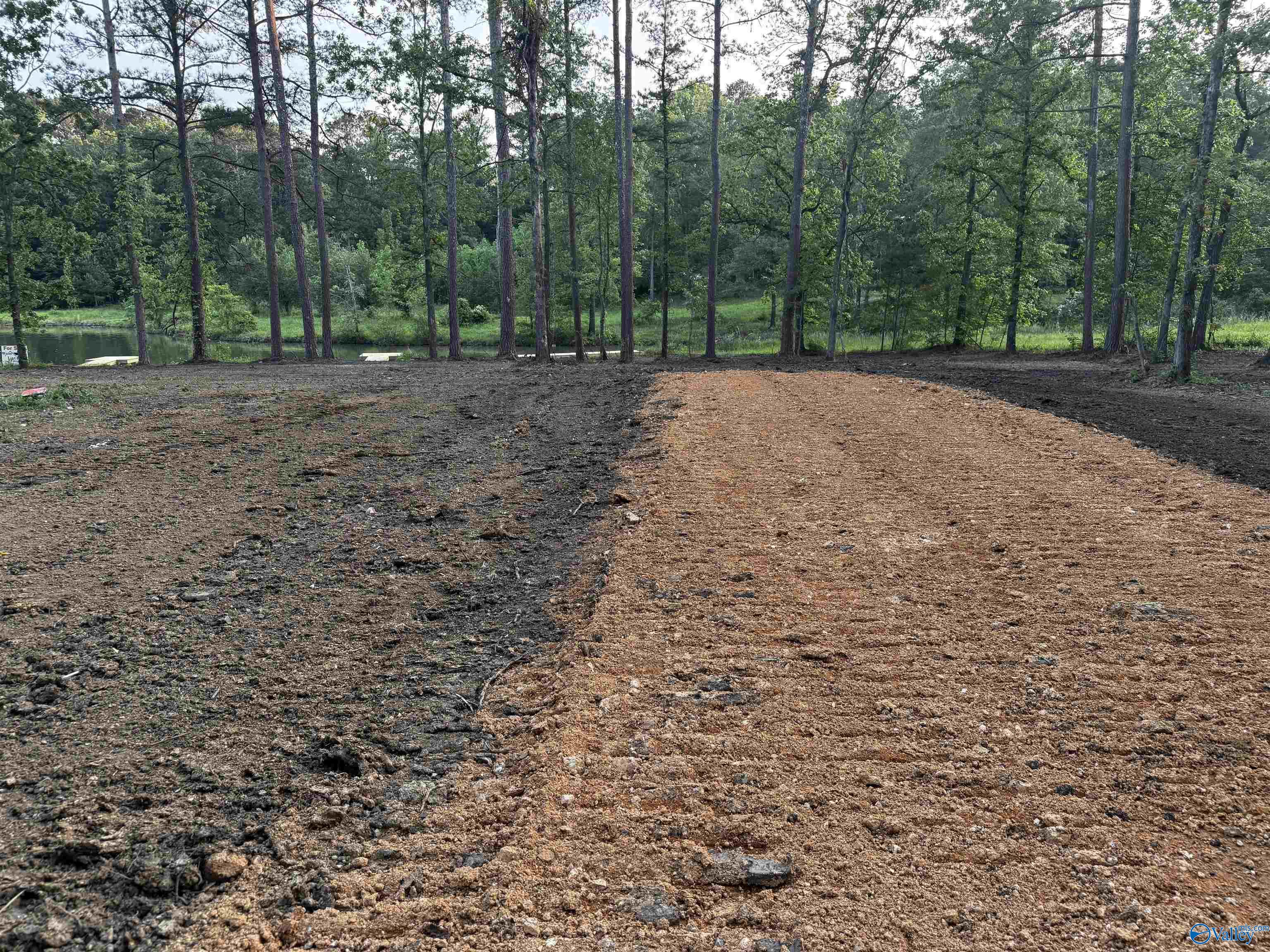 Tract 13 County Road 534, Centre, Alabama image 2