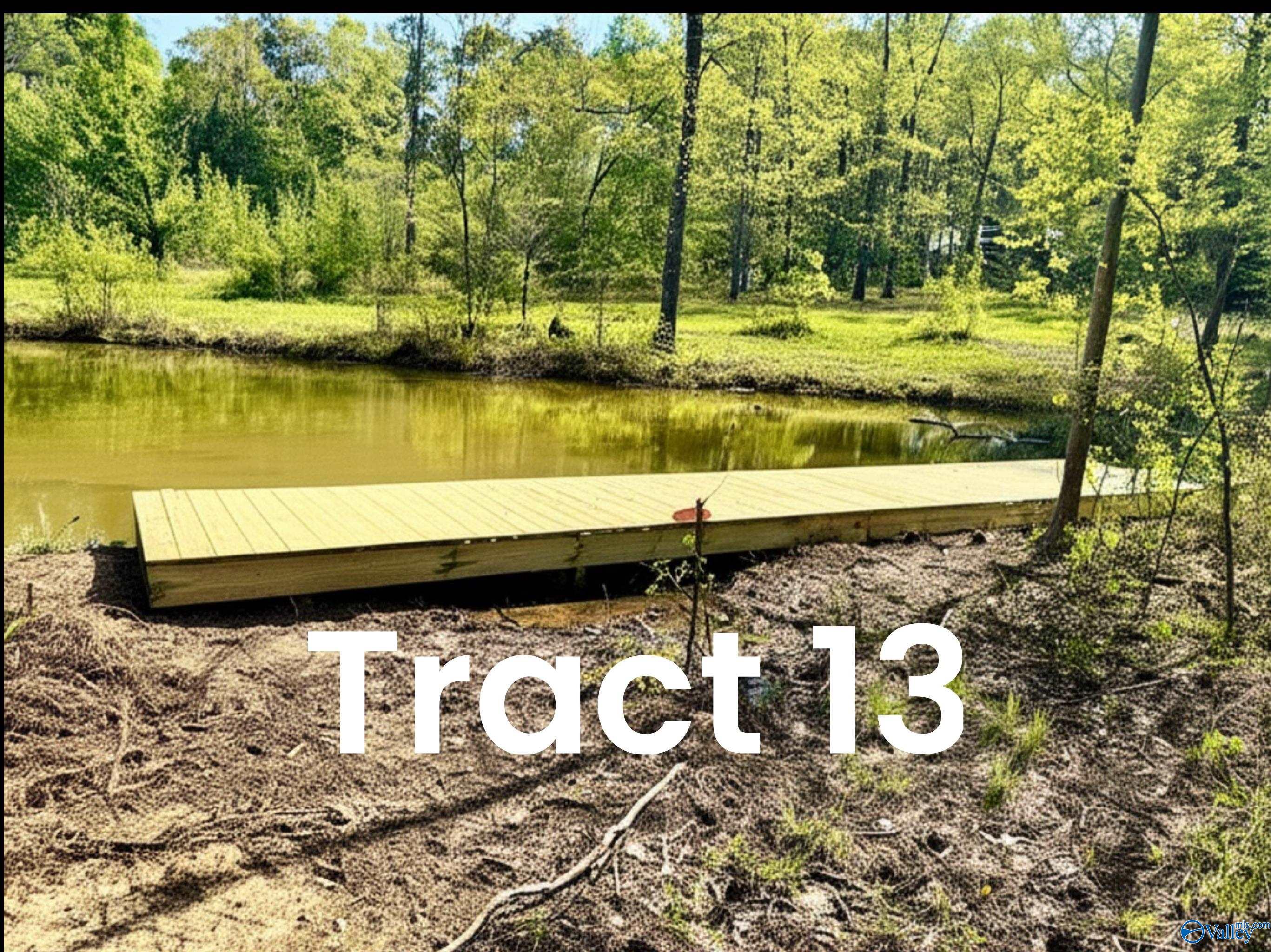 Tract 13 County Road 534, Centre, Alabama image 1
