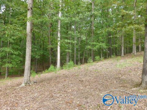 Vacant Land For Sale - 9 Spindletop Drive<br/> Guntersville, AL 35976