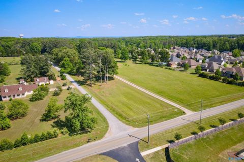 Vacant Land For Sale - 10424 (TRACT 1) Segers Road<br/> Limestone County, Madison, AL 35756