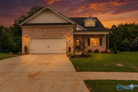 Homes For Sale - 102 Ayers Spring Road<br/> New Market, AL 35761