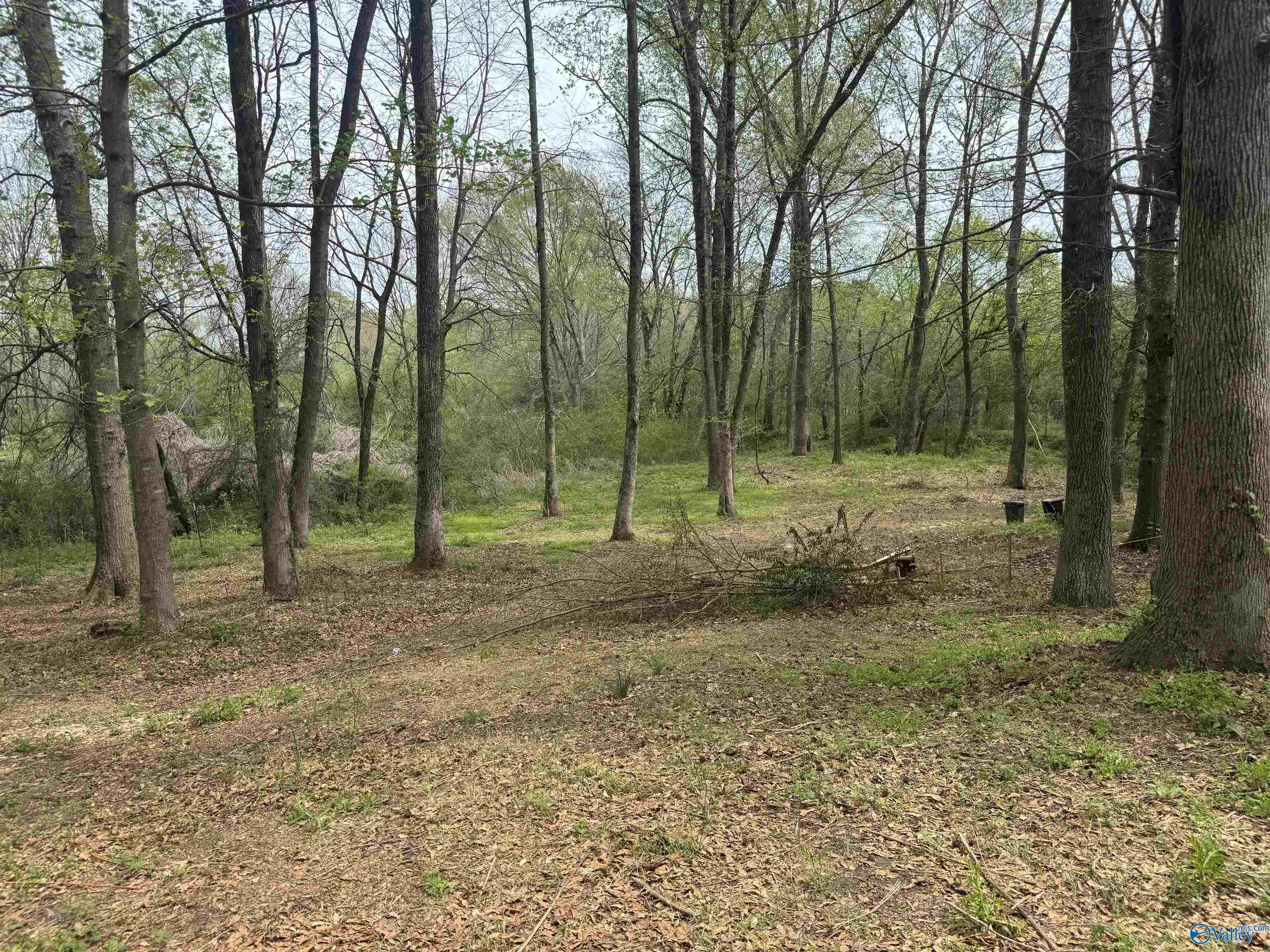 120 Highway 231, Arab, Alabama image 9