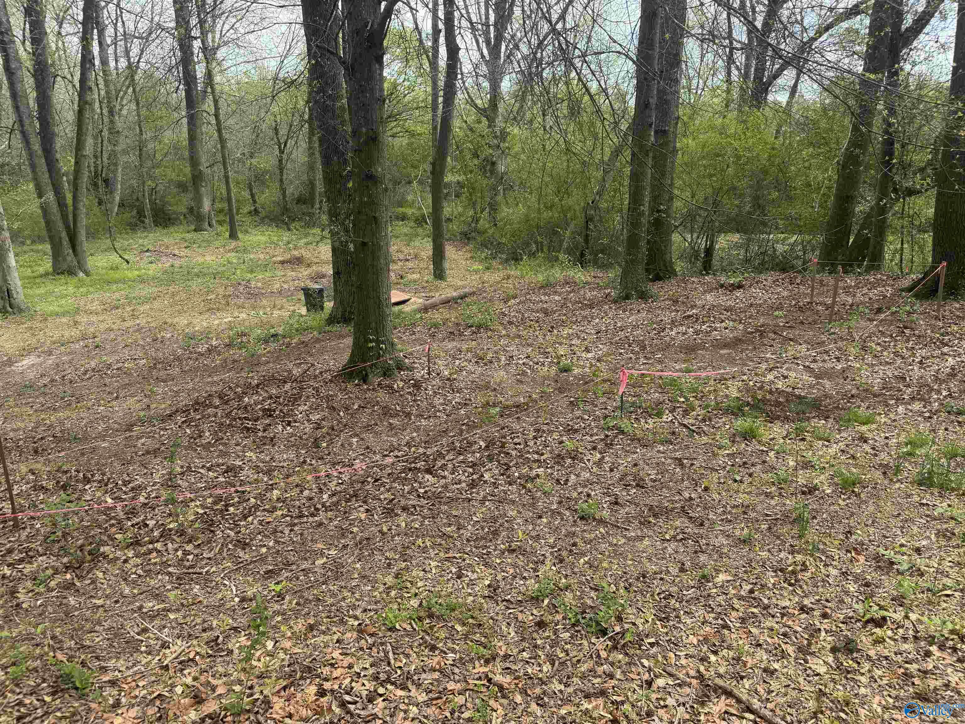 120 Highway 231, Arab, Alabama image 8