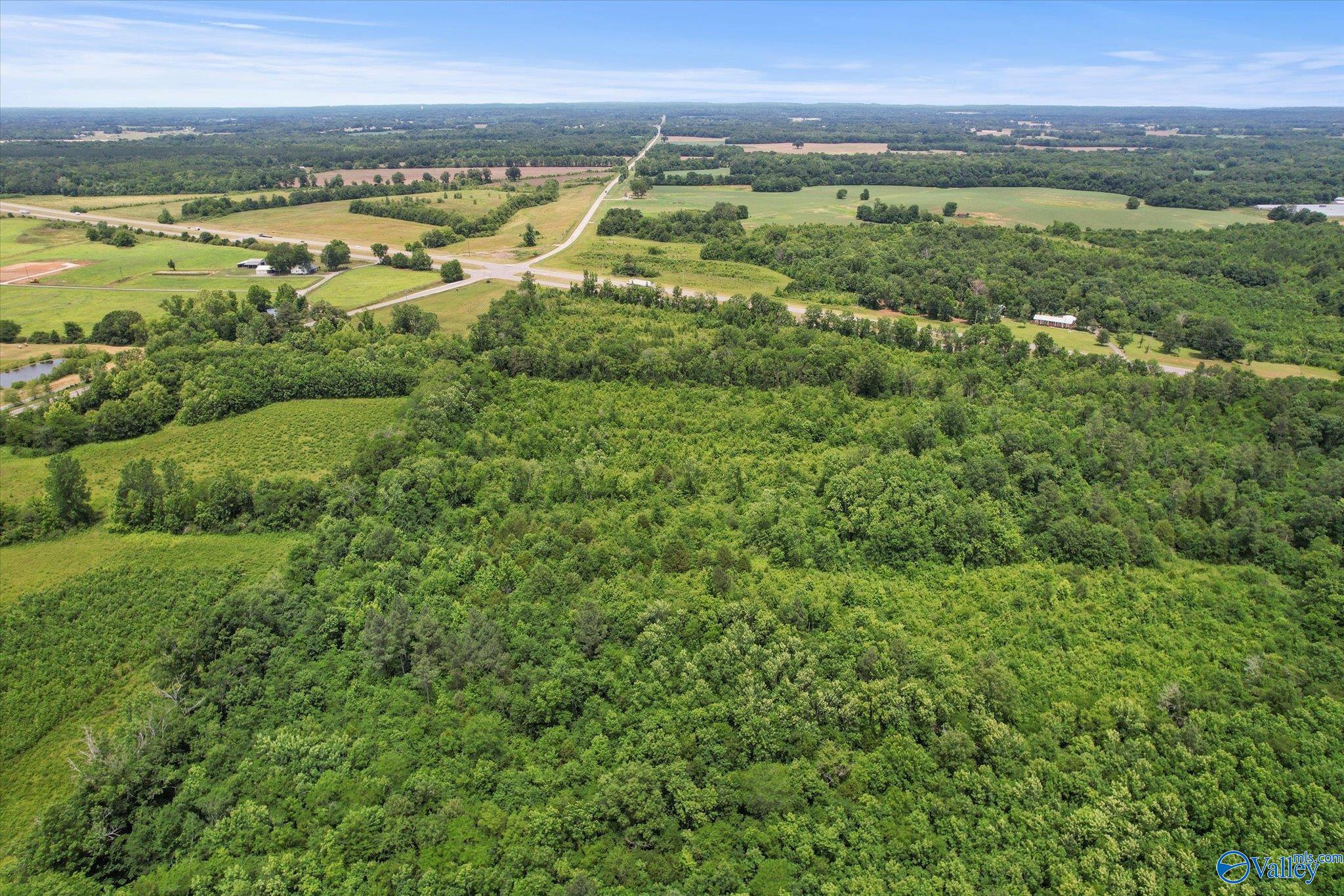 45.57 Acres Holladay Road, Danville, Alabama image 15