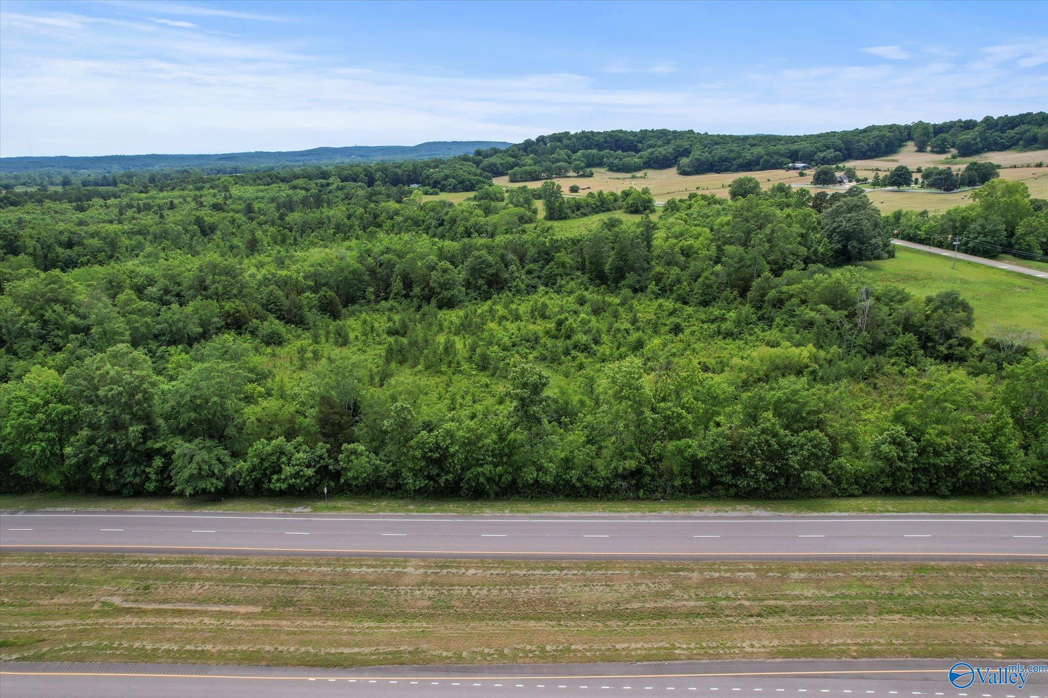 45.57 Acres Holladay Road, Danville, Alabama image 5