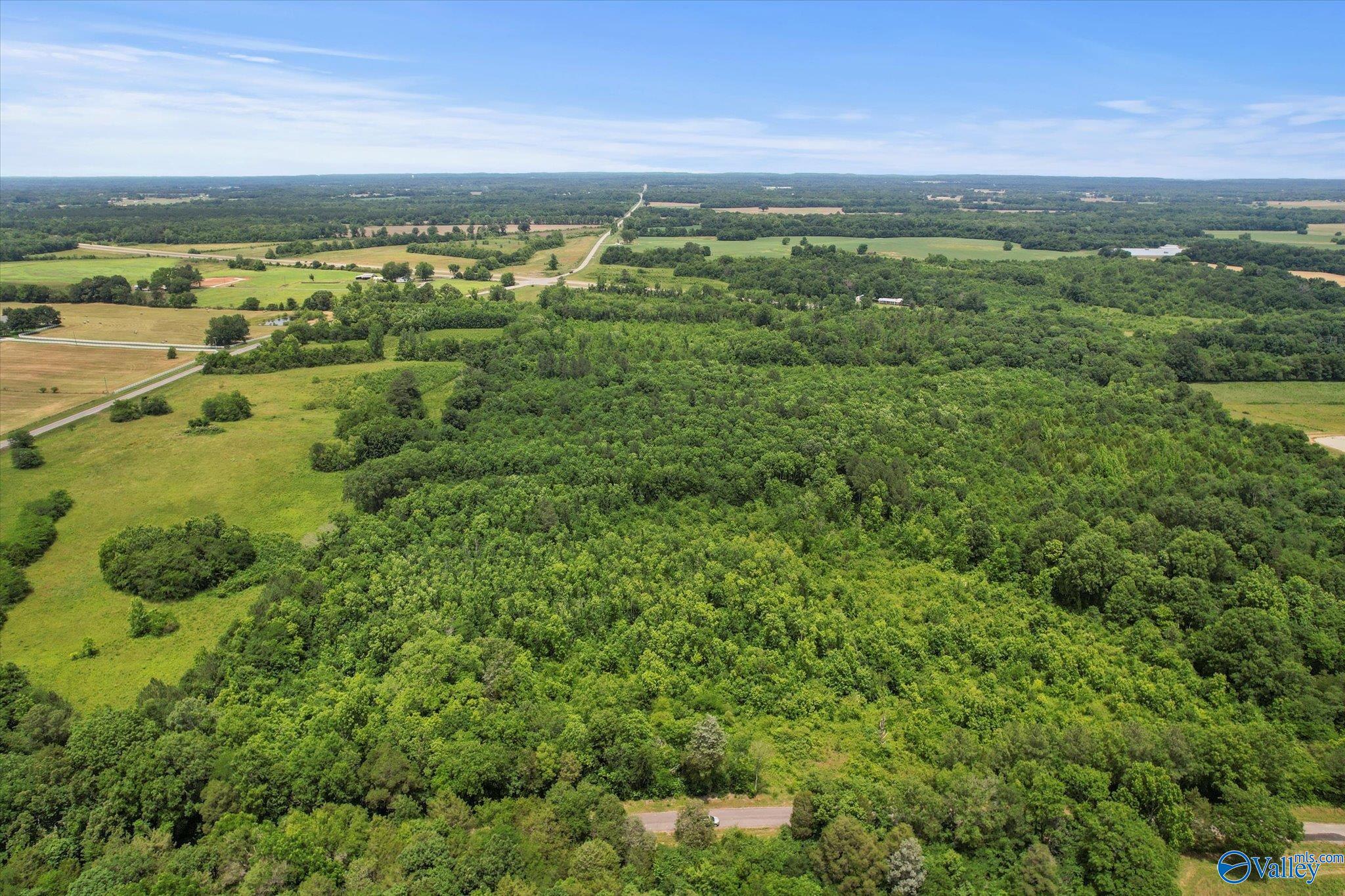 45.57 Acres Holladay Road, Danville, Alabama image 13