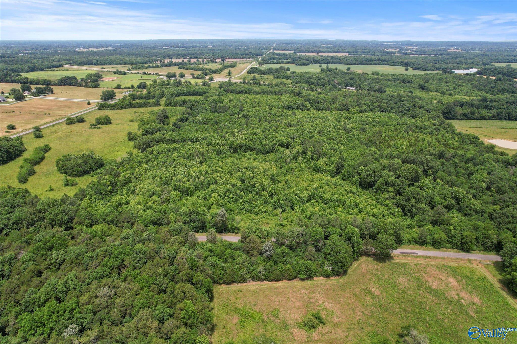 45.57 Acres Holladay Road, Danville, Alabama image 11