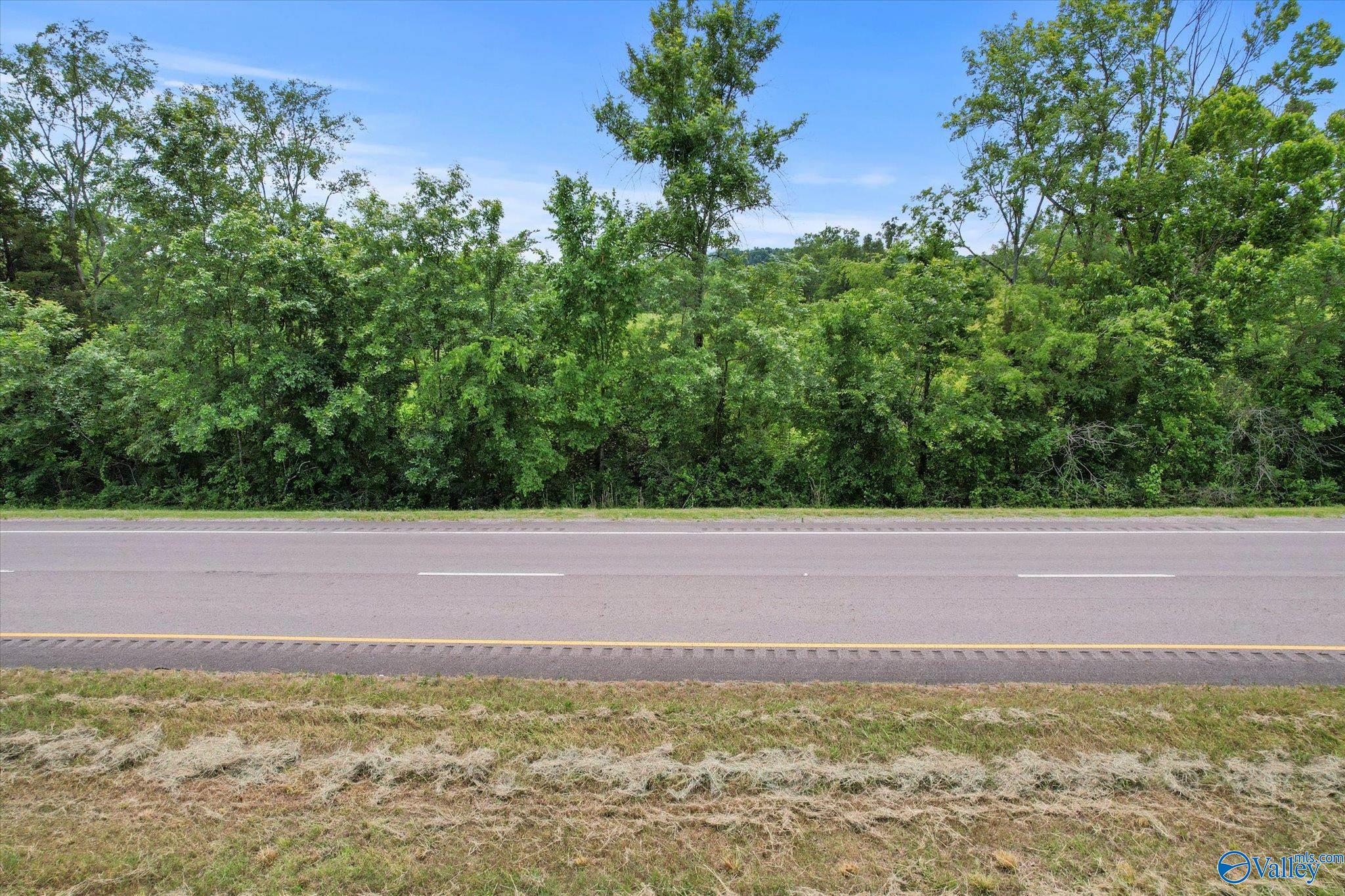 45.57 Acres Holladay Road, Danville, Alabama image 4