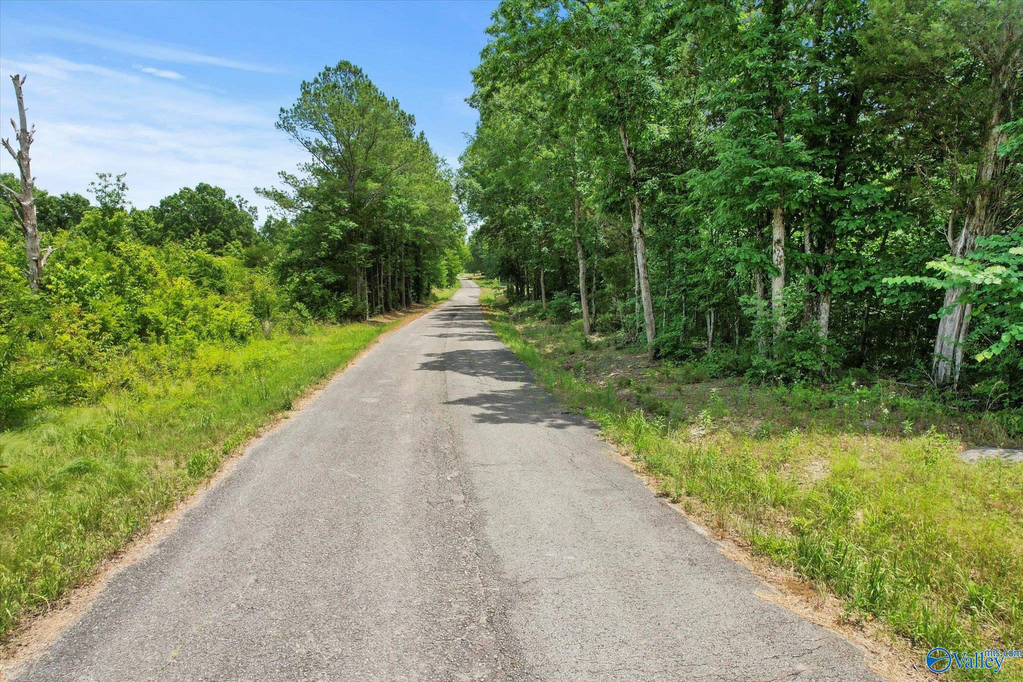 45.57 Acres Holladay Road, Danville, Alabama image 6