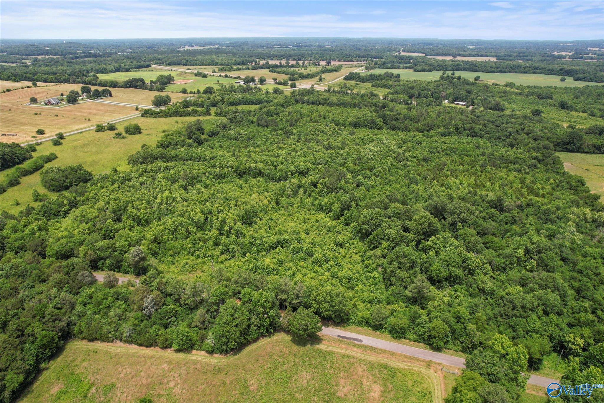 45.57 Acres Holladay Road, Danville, Alabama image 12