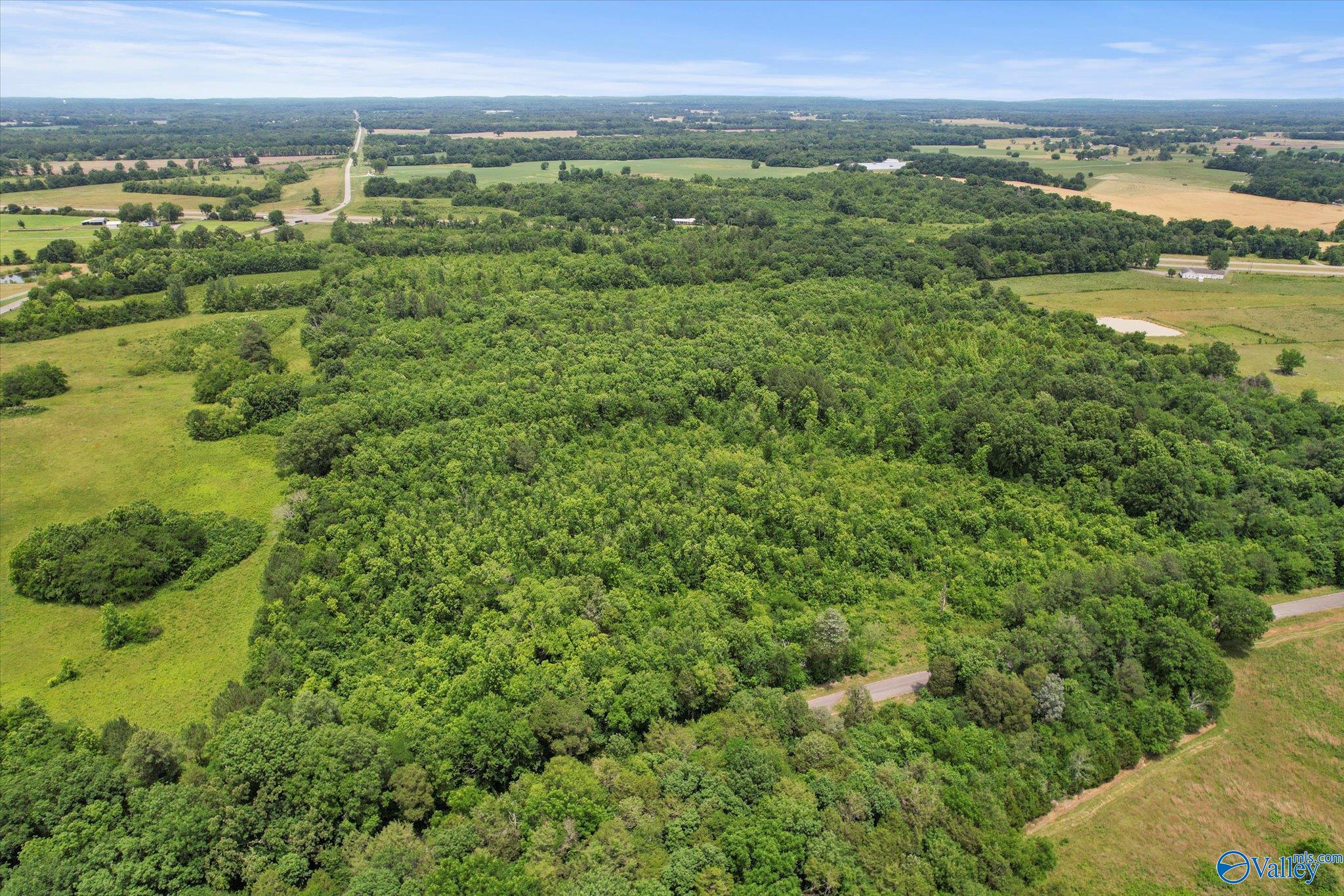 45.57 Acres Holladay Road, Danville, Alabama image 8