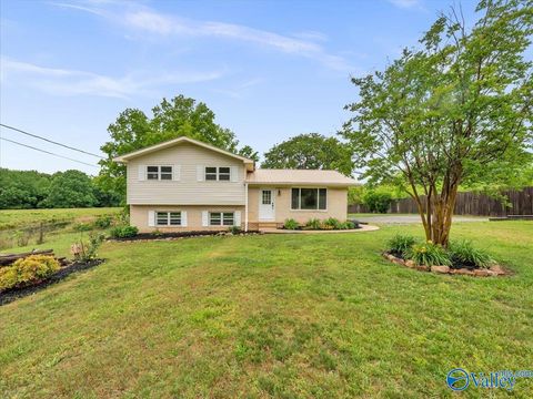 Homes For Sale - 14030 Alabama Highway 75<br/> Henagar, AL 35978