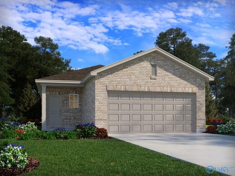 8220 Huspa Avenue Madison AL 35756