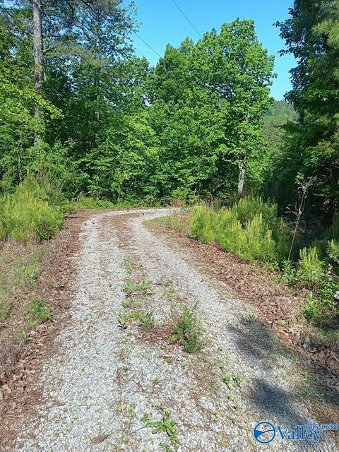 30 ACRES Norman Street Attalla AL 35954