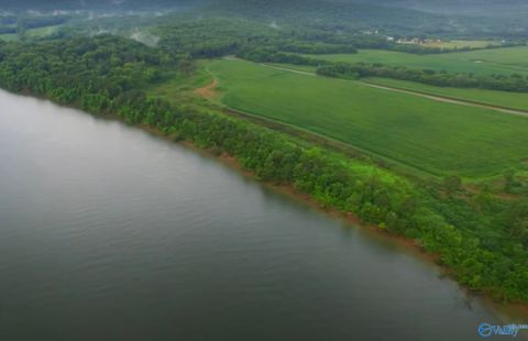 Vacant Land For Sale - 11 Mccutcheon Loop Road<br/> Laceys Spring, AL 35754