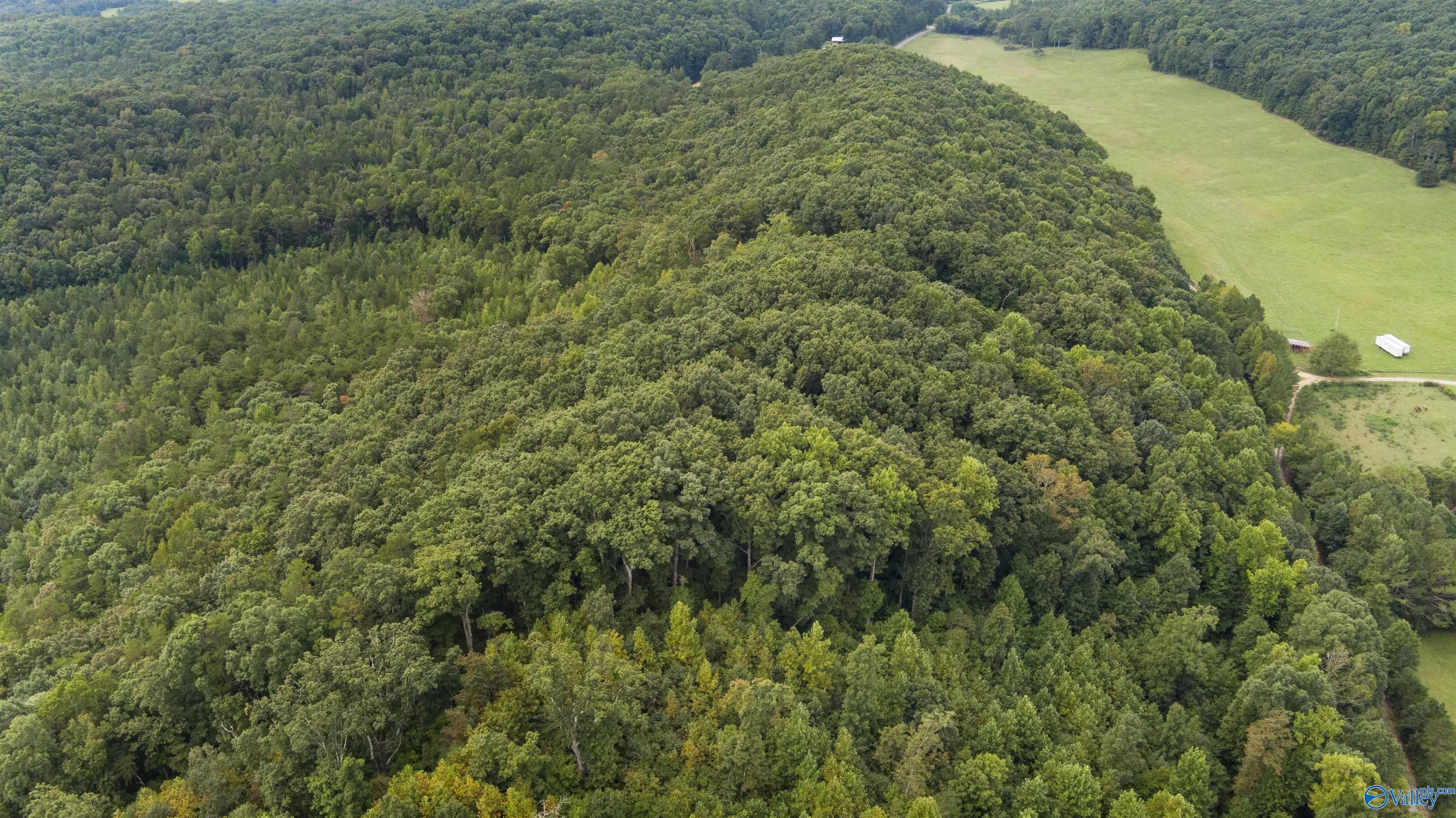 1 County Road 610, Valley Head, Alabama image 7