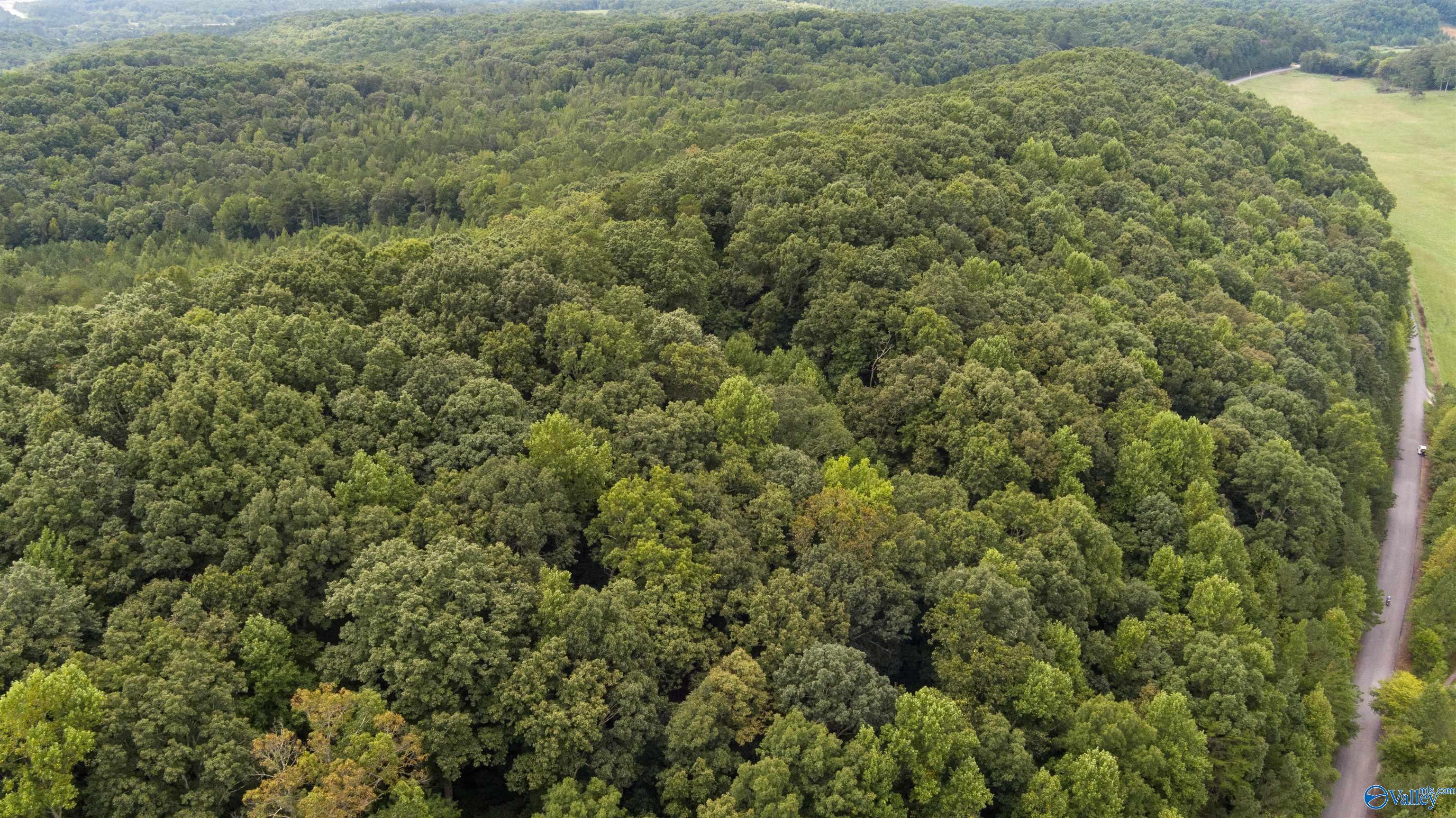 1 County Road 610, Valley Head, Alabama image 8