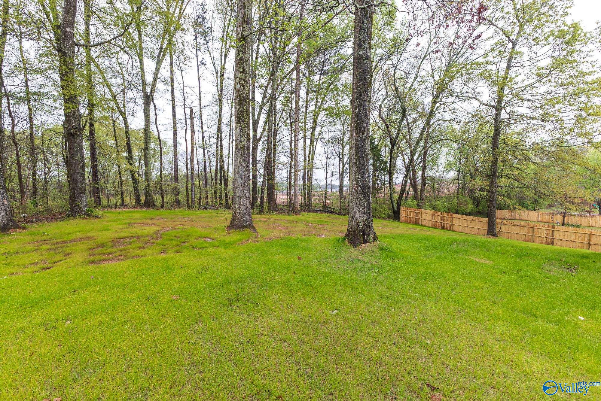 126 Pavilion Drive, Meridianville, Alabama image 38