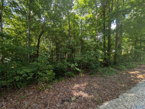 Vacant Land For Sale - 1 ACRE Keel Mountain Road<br/> Madison County, Gurley, AL 35748