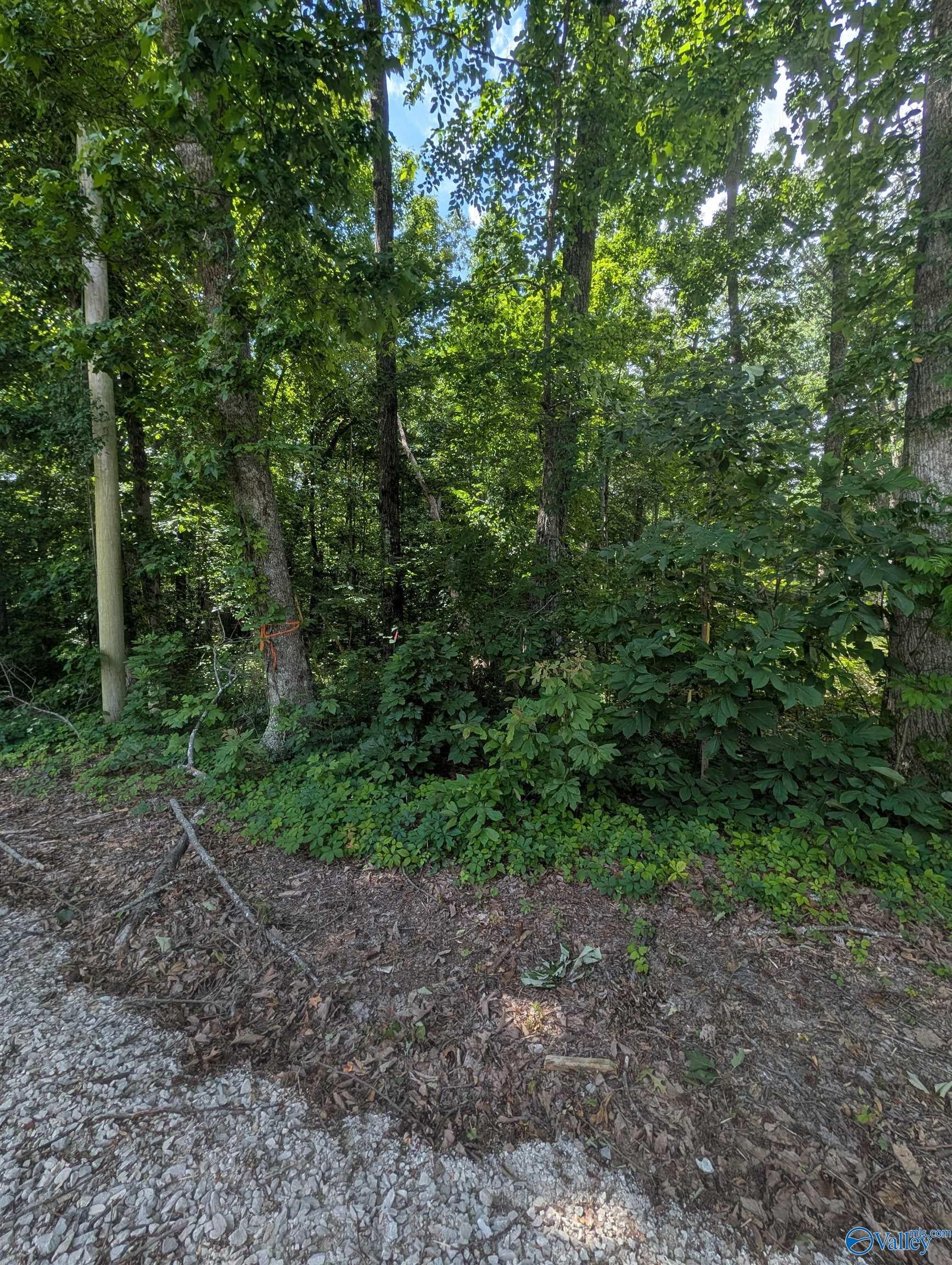 1 Acre Keel Mountain Road