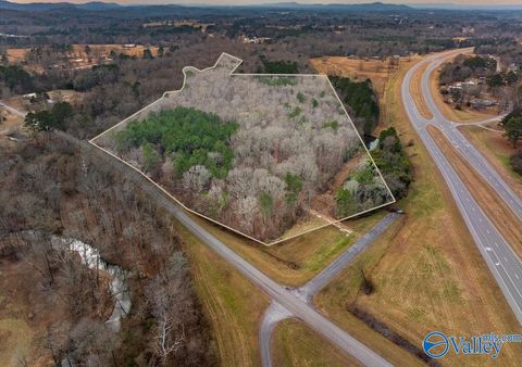 Vacant Land For Sale - 20 ACRES Mclain Street<br/> Etowah County, Hokes Bluff, AL 35903