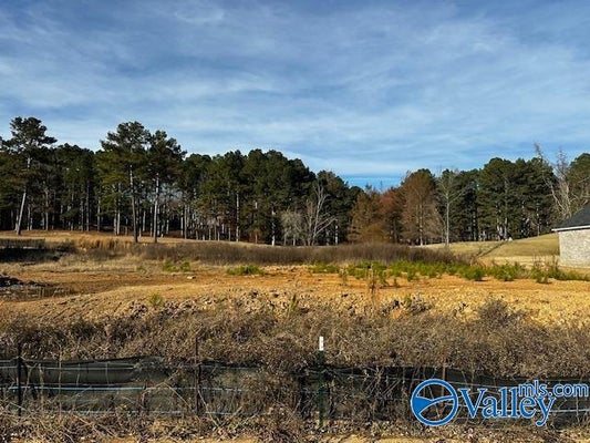 98 CHEROKEE RIDGE DR, CHEROKEE RIDGE, AL 35175 - Image 77b94401afff69d50cf8b385da5d30a9/1099832246