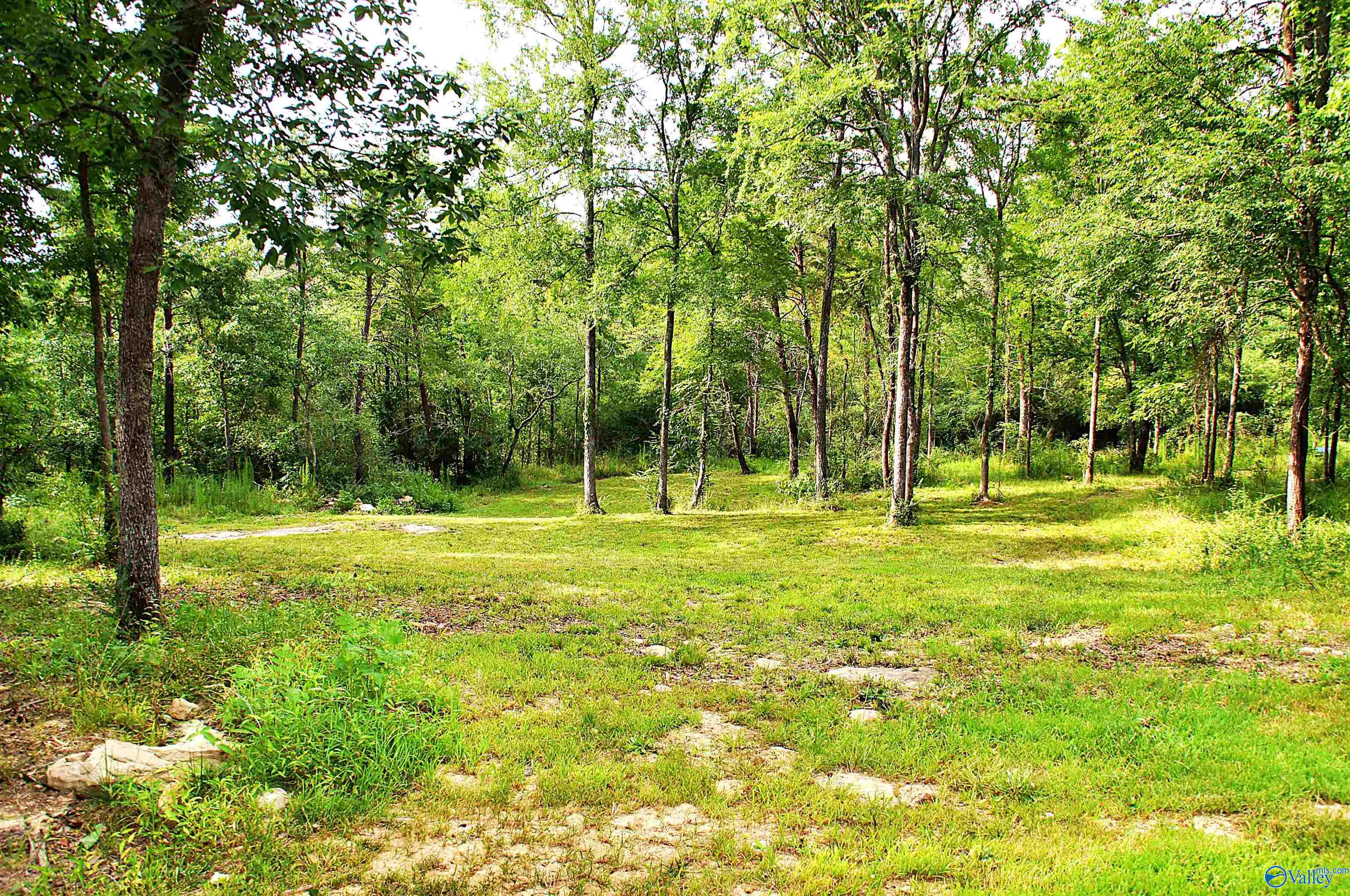 355 Lake Mary Louise Rd, Gadsden, Alabama image 31