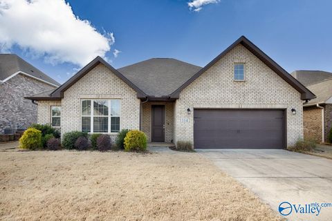 Homes For Sale - 114 James Parcus Circle<br/> Madison, AL 35756