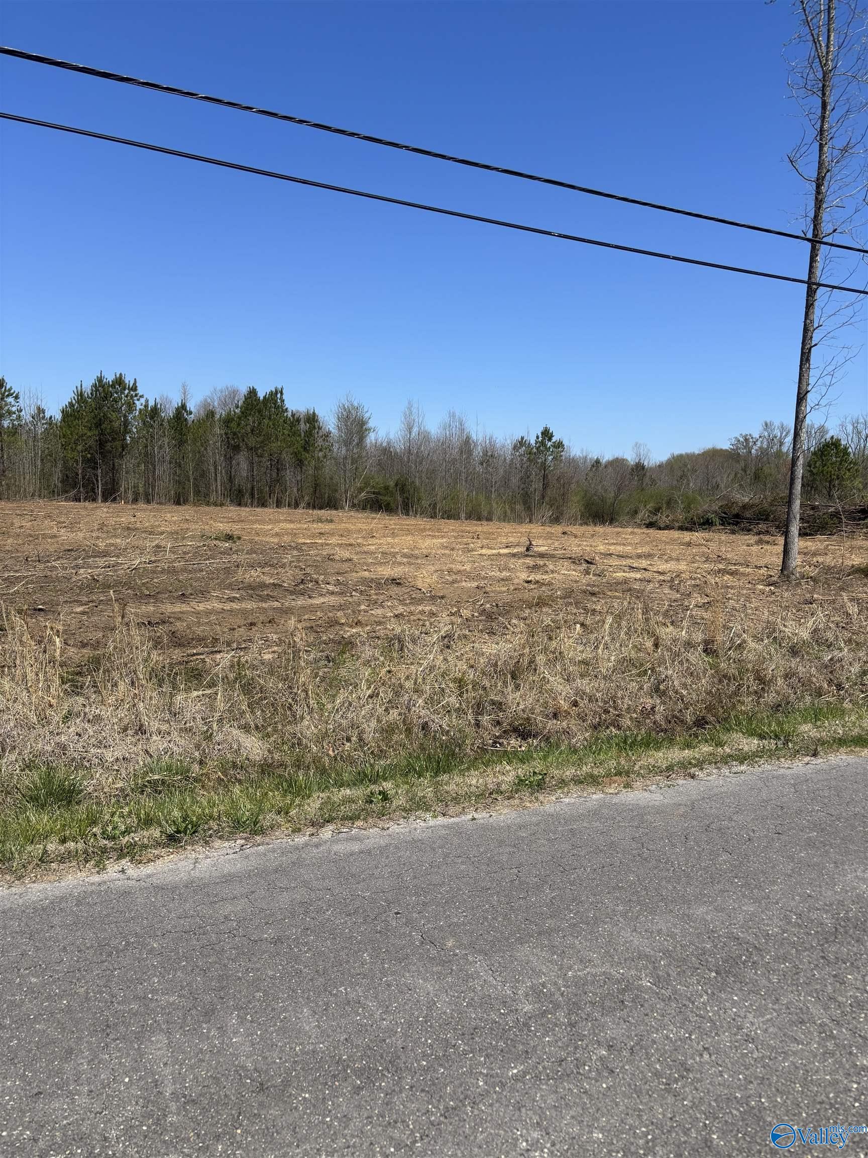 LOT 2 Salem Road, Hartselle, Alabama image 2