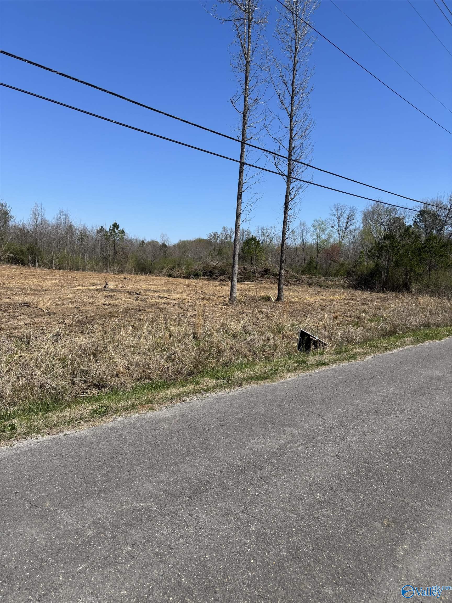 LOT 2 Salem Road, Hartselle, Alabama image 1