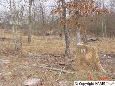 Vacant Land For Sale - 4235 Citadel Rock Road<br/> Dekalb County, Fort Payne, AL 35967
