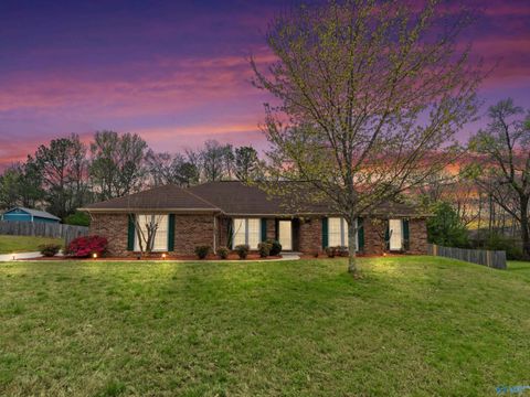 Homes For Sale - 105 Hornet Court<br/> Madison, AL 35757